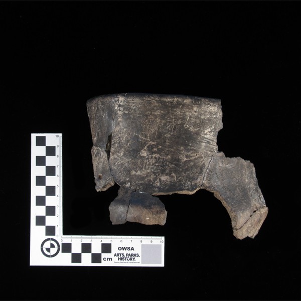 Crow rim sherd from the John Gale Site (48CR303)