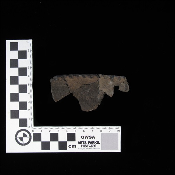Two rim sherds from a Crow vessel found at the Piney Creek Site (48JO311)
