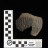 Crow check-stamped body sherd from the Medicine Lodge Creek site (48BH499)