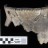 Crow vessel fragment from northern Wyoming (site unknown)