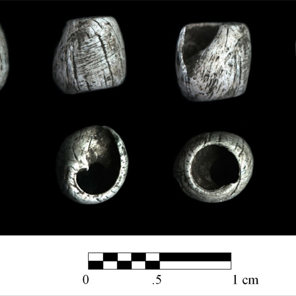 Marine shell bead found in the Late Prehistoric component on the Game Creek alluvial fan
