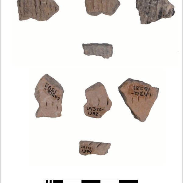 South Platte Woodland sherds from the Pine Bluffs Site (48LA312) dated to circa AD 1100. Note the fingernail impressed design